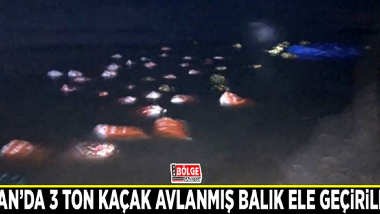 Van’da 3 ton kaçak avlanmış balık ele geçirildi