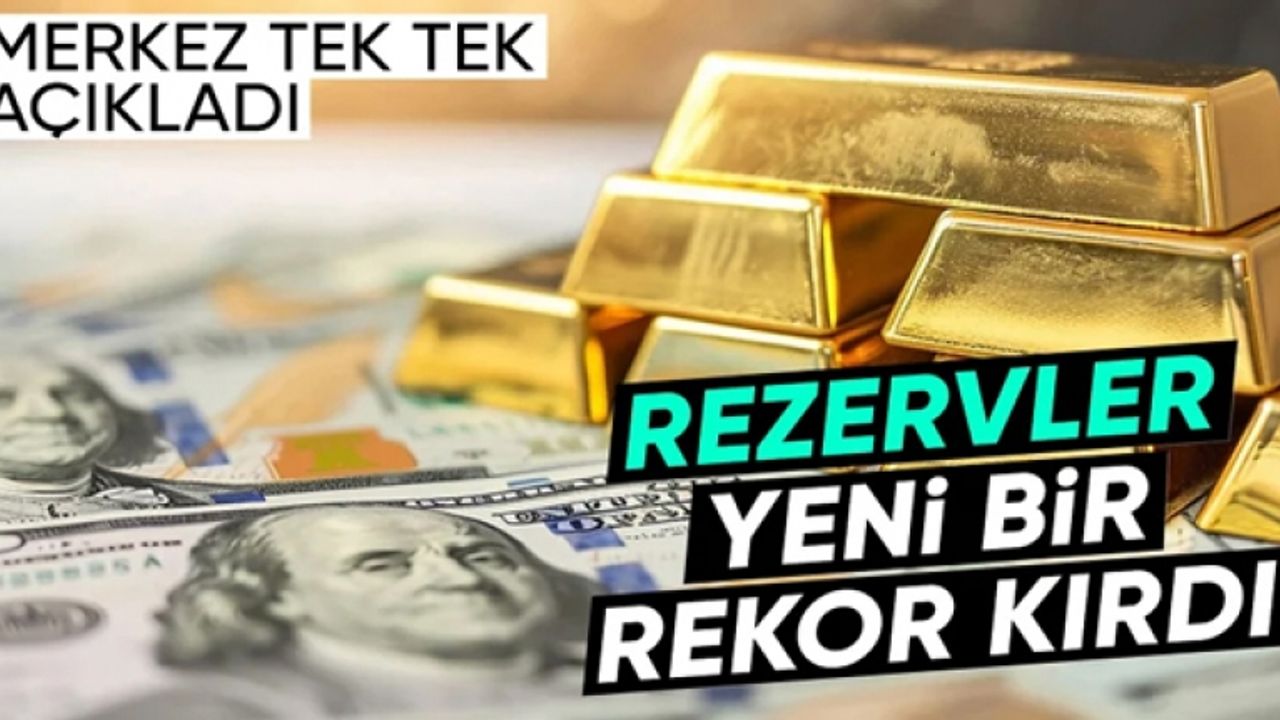 Merkez Bankası'nın rezervinde yeni rekor