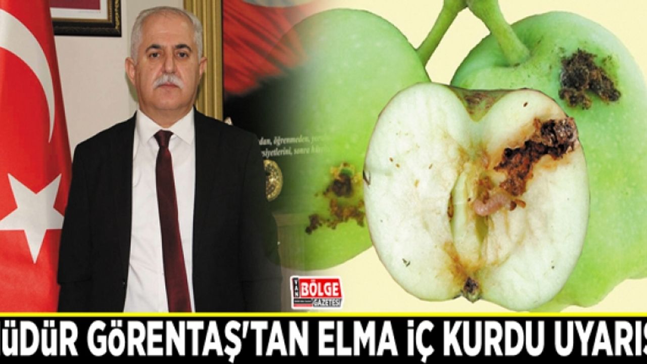 Müdür Görentaş'tan elma iç kurdu uyarısı