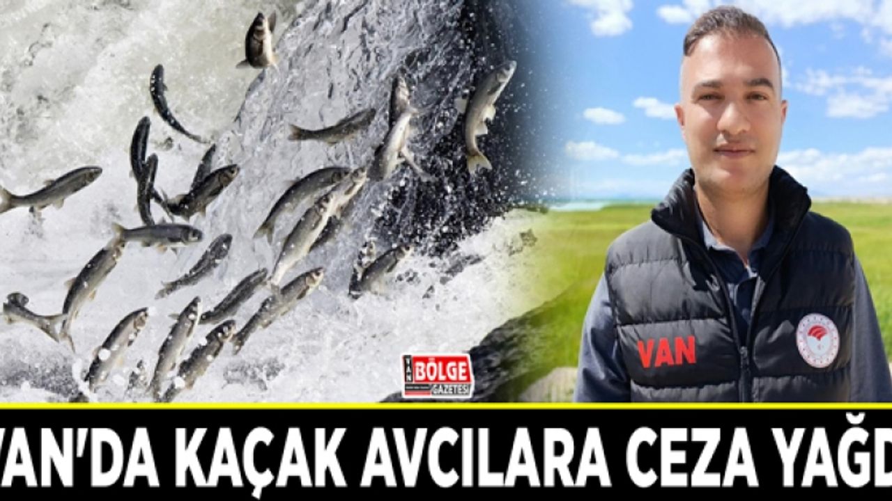 Van'da kaçak avcılara ceza yağdı