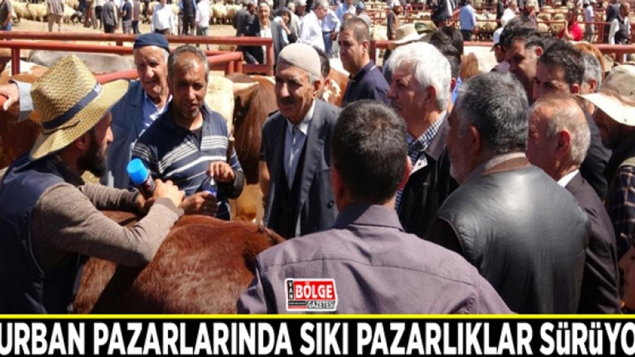 Van'da kurban pazarlarında sıkı pazarlıklar sürüyor