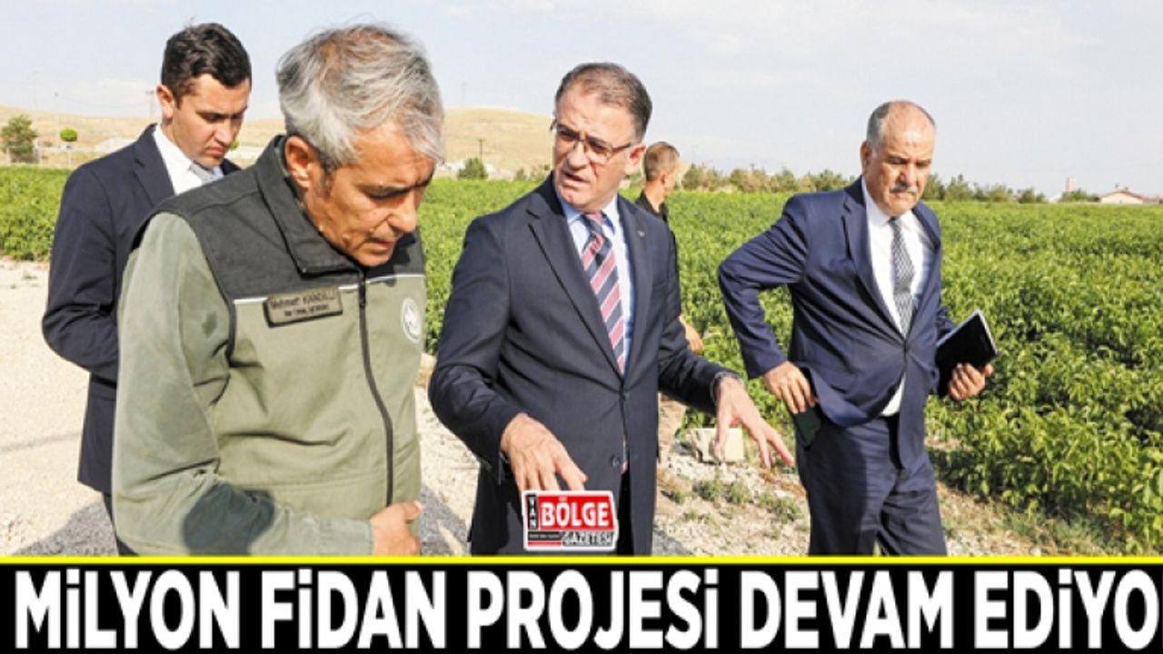 3 milyon fidan projesi devam ediyor