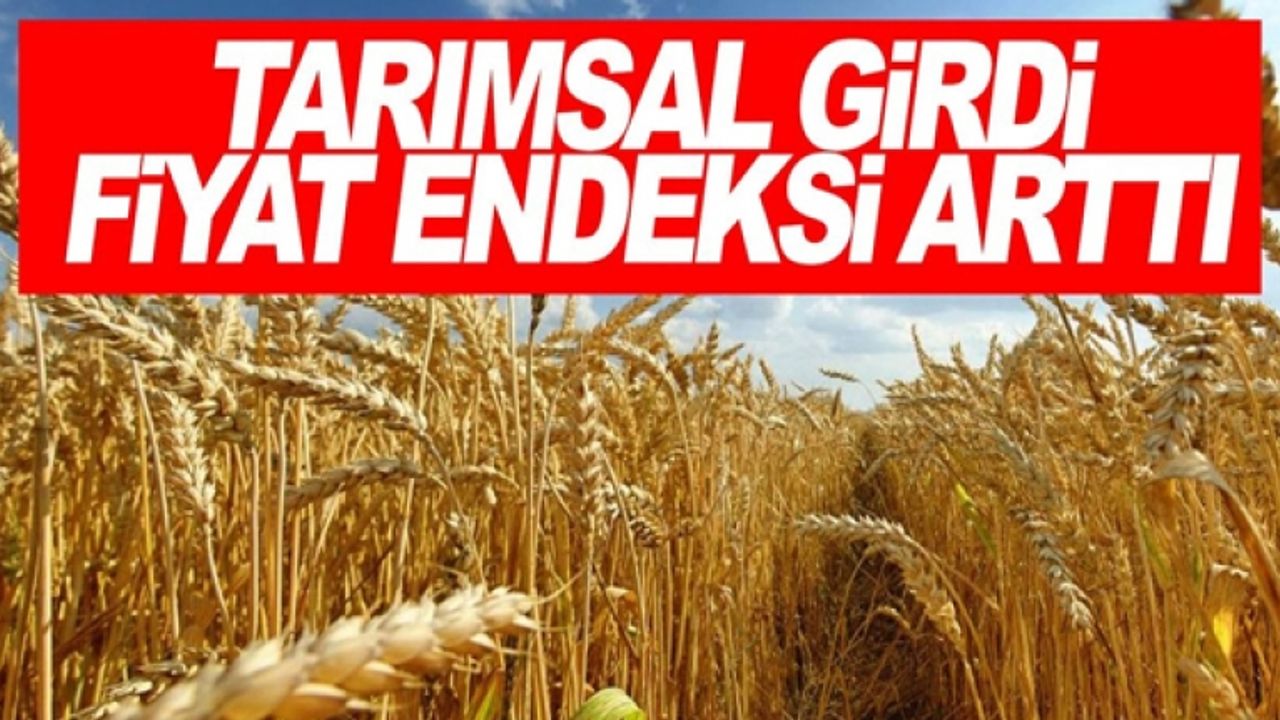 Tarım-GFE yıllık yüzde 53,08 arttı