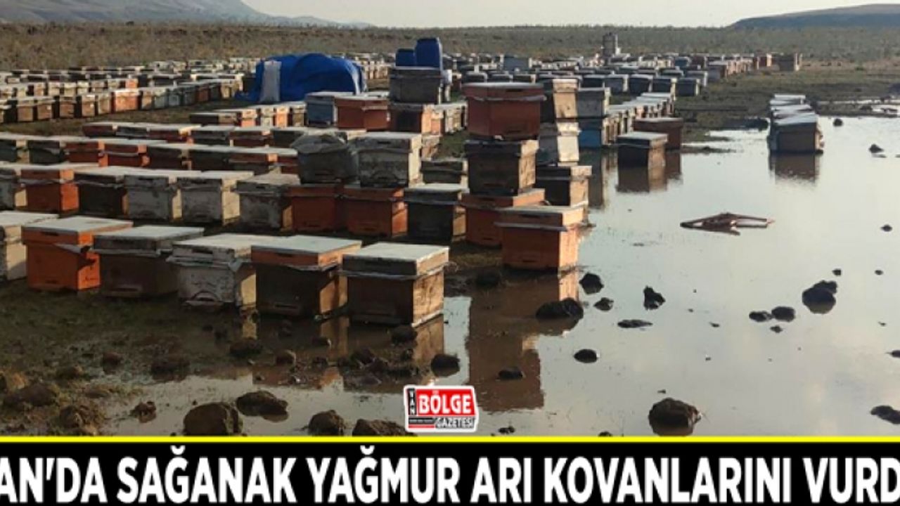 Van'da sağanak yağmur arı kovanlarını vurdu