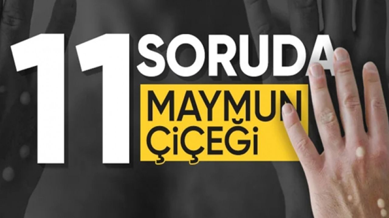 İşte 11 soruda maymun çiçeğiyle ilgili merak edilenler...