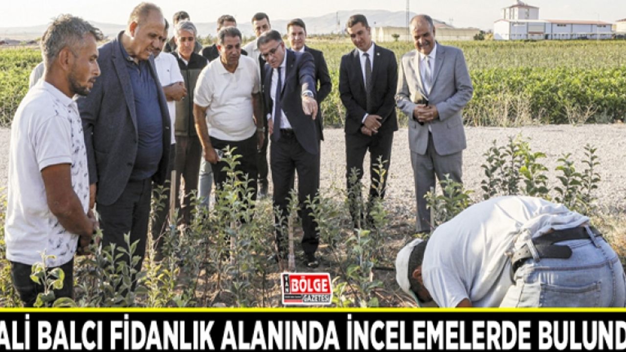 Vali Balcı fidanlık alanında incelemelerde bulundu