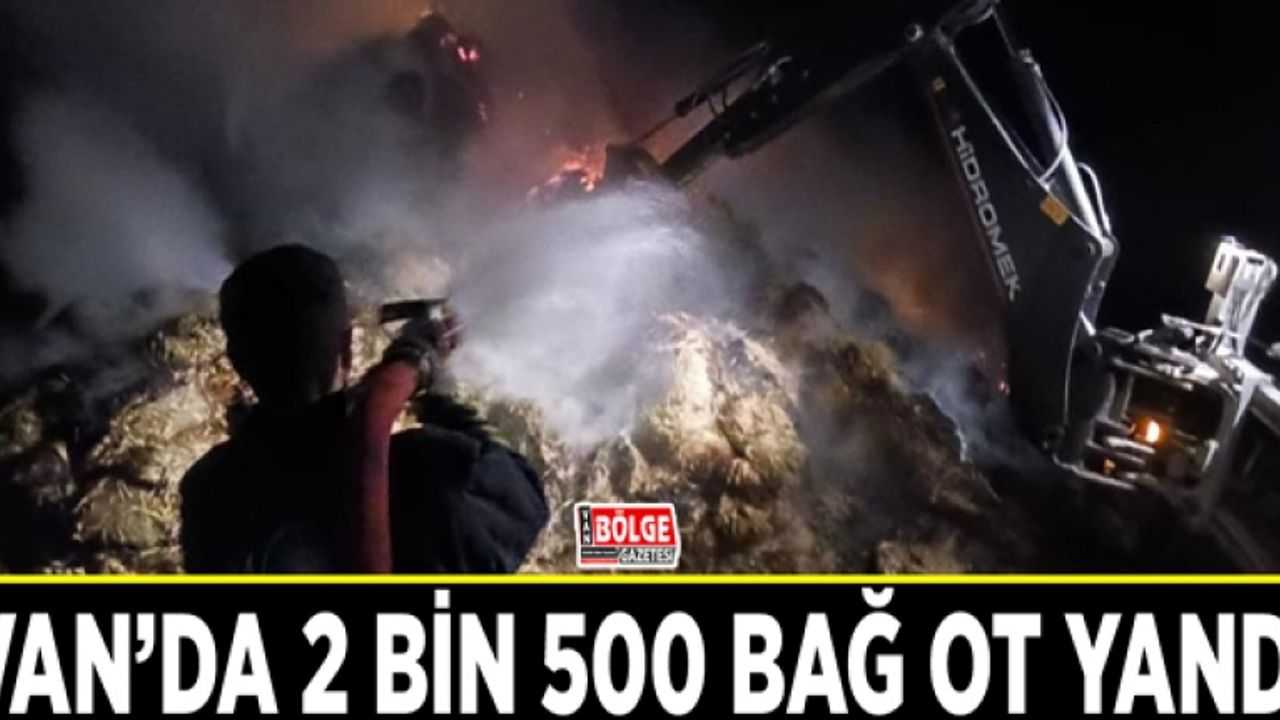 Van’da 2 bin 500 bağ ot yandı