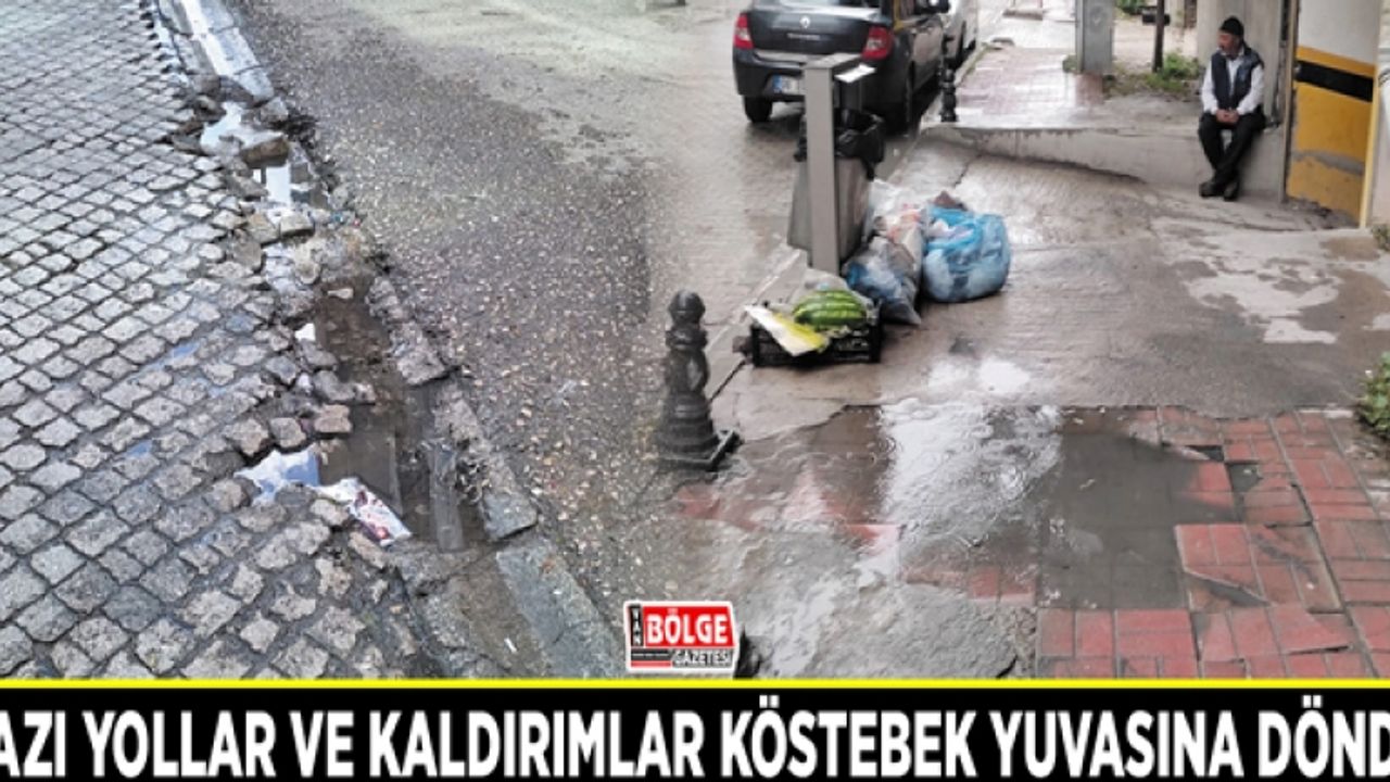 Bazı yollar ve kaldırımlar köstebek yuvasına döndü