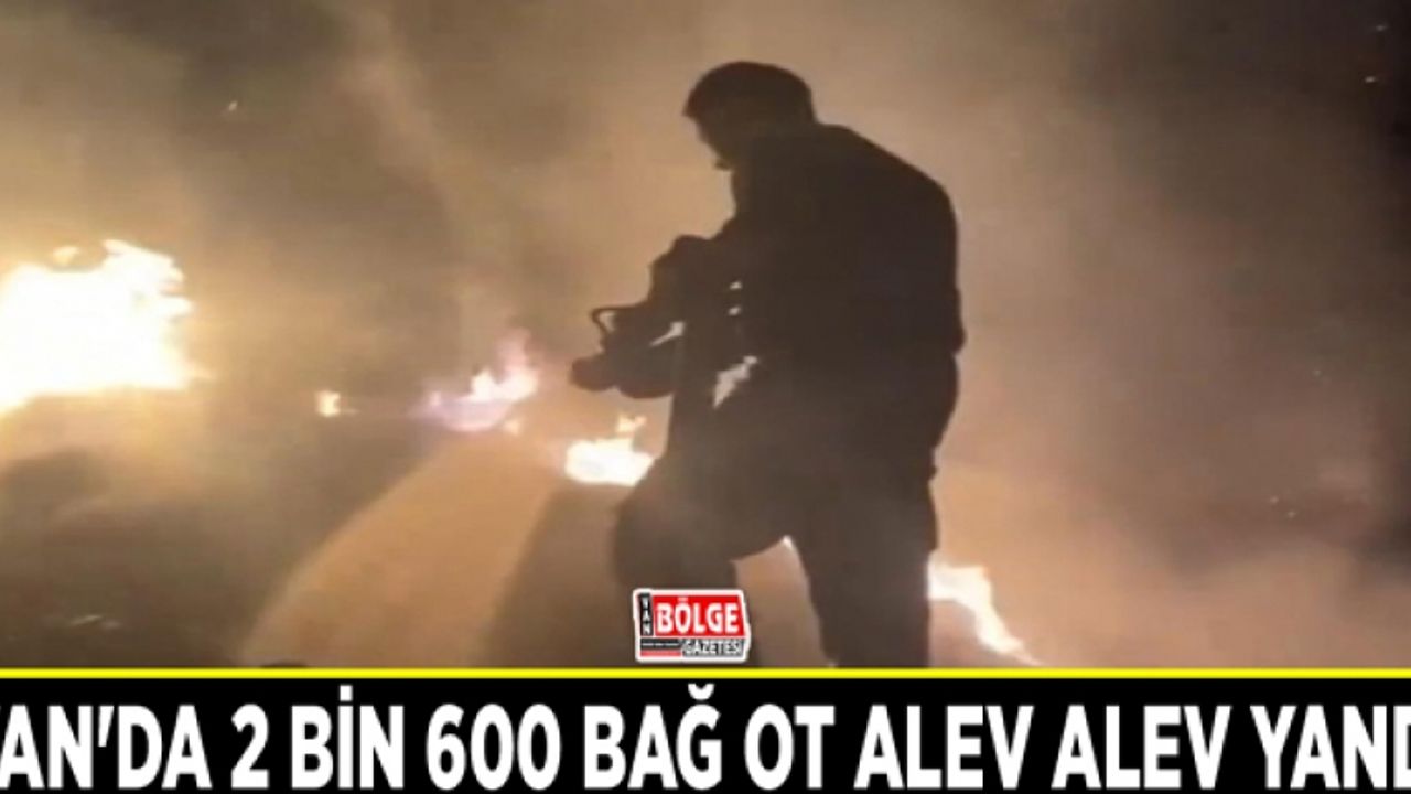 Van'da 2 bin 600 bağ ot alev alev yandı