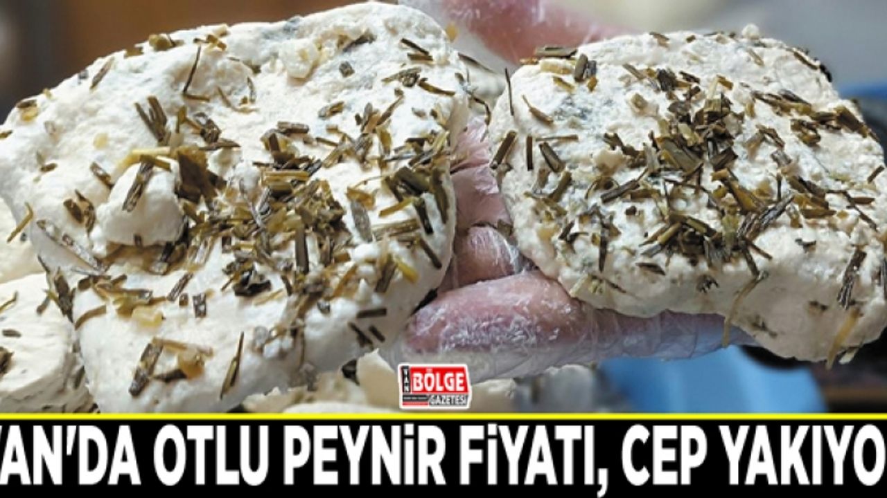 Van'da otlu peynir fiyatı, cep yakıyor