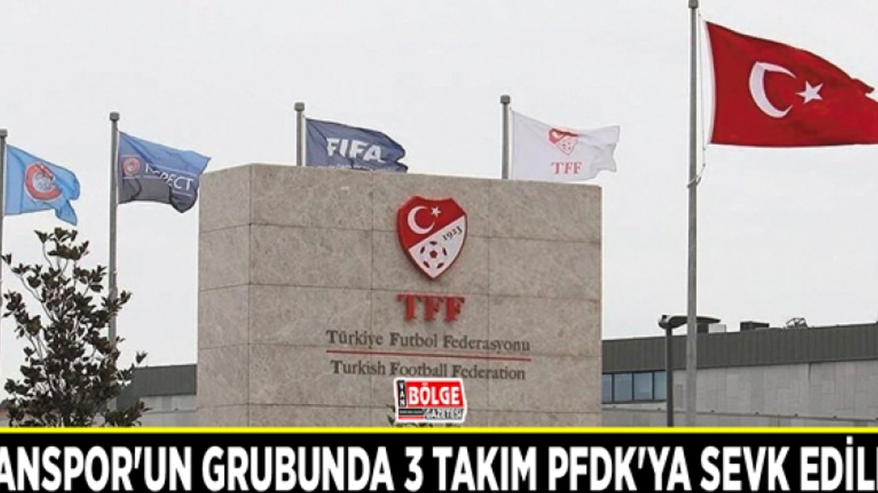 Vanspor'un grubunda 3 takım PFDK'ya sevk edildi