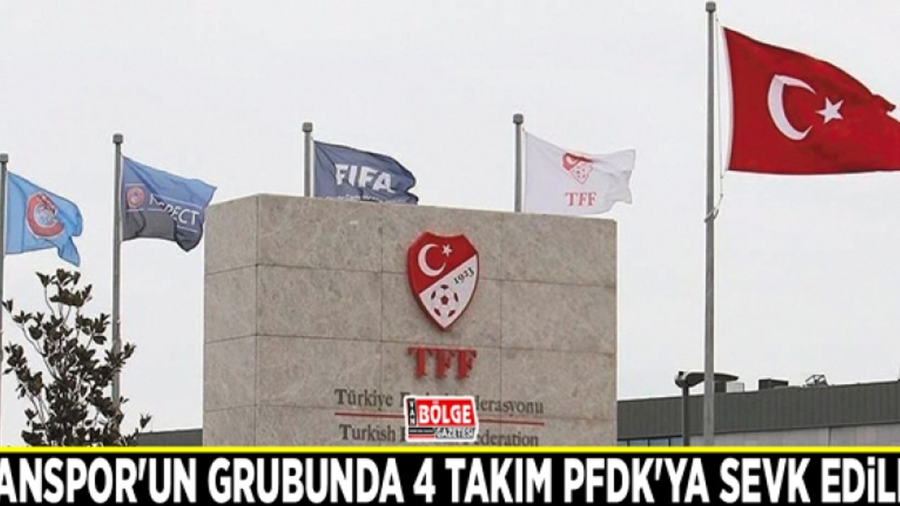 Vanspor'un grubunda 4 takım PFDK'ya sevk edildi