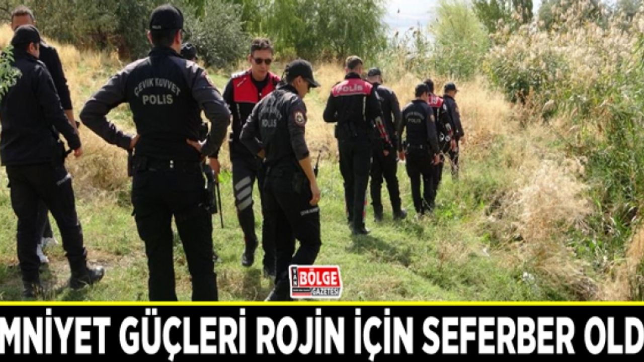 Emniyet güçleri Rojin için seferber oldu
