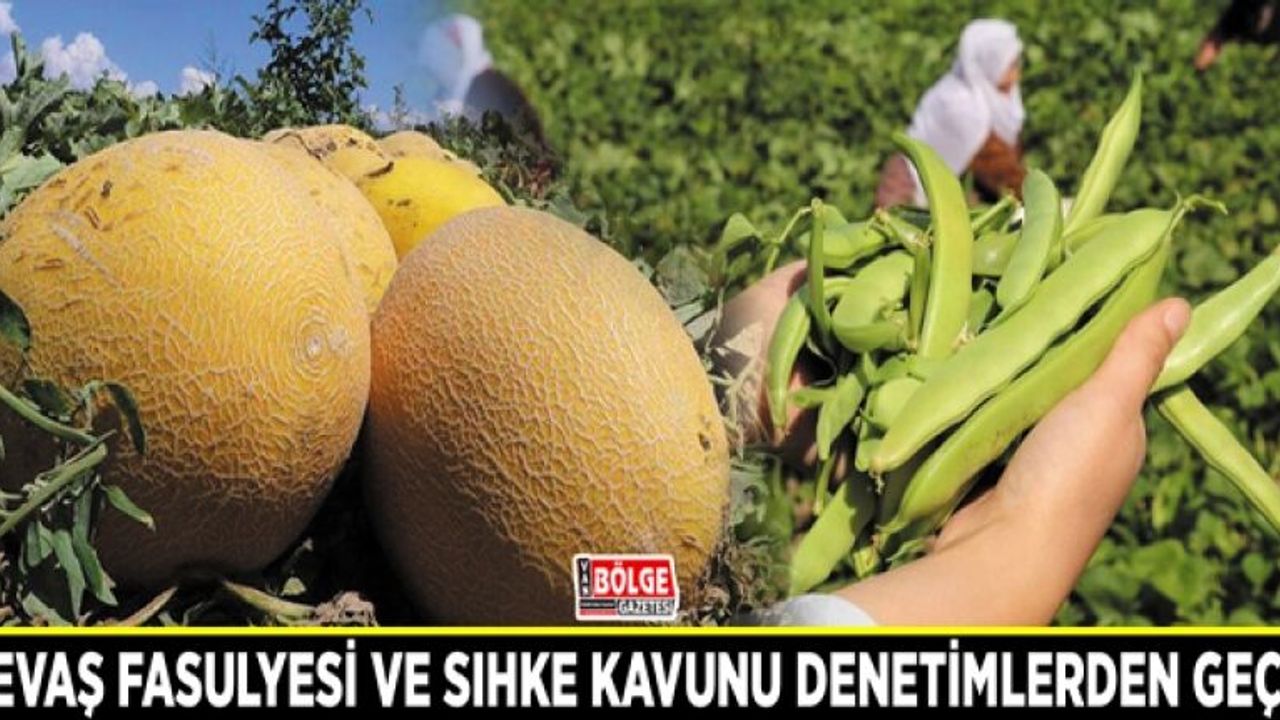 Gevaş Fasulyesi ve Sıhke Kavunu denetimlerden geçti
