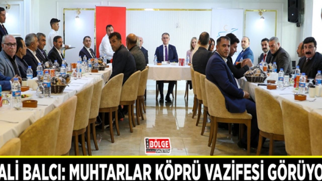 Vali Balcı: Muhtarlar köprü vazifesi görüyor