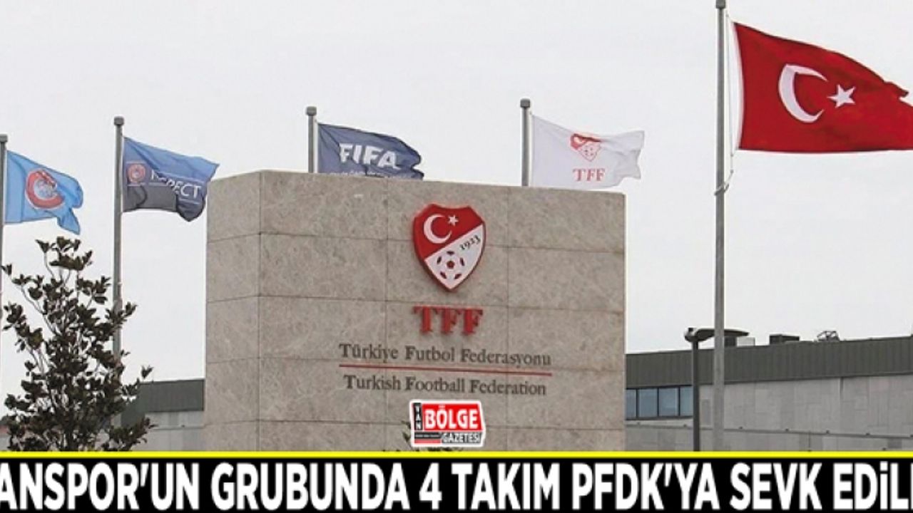 Vanspor'un grubunda 4 takım PFDK'ya sevk edildi