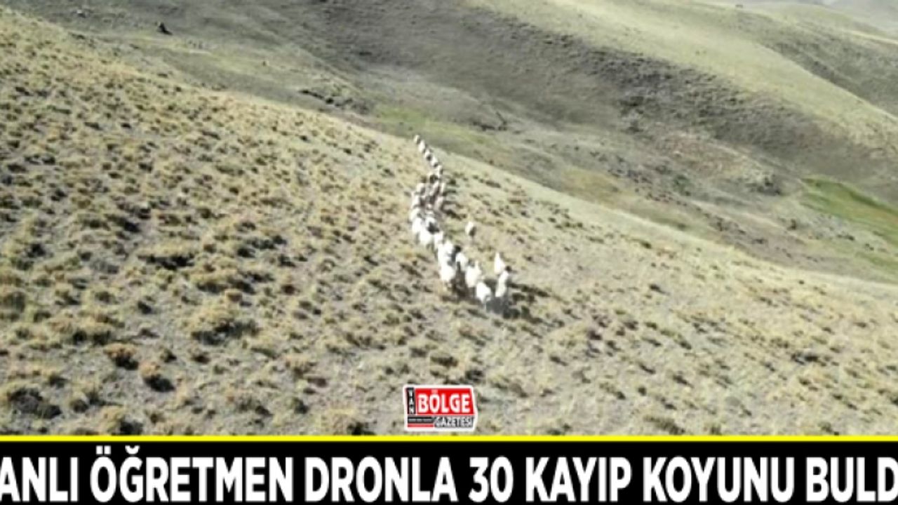 Vanlı öğretmen dronla 30 kayıp koyunu buldu