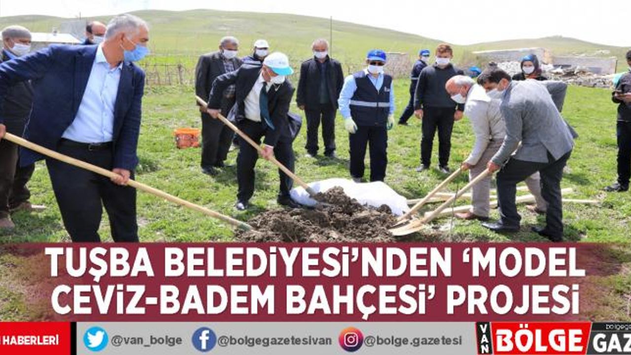 Tuşba Belediyesi'nden 'Model Ceviz-Badem Bahçesi' projesi
