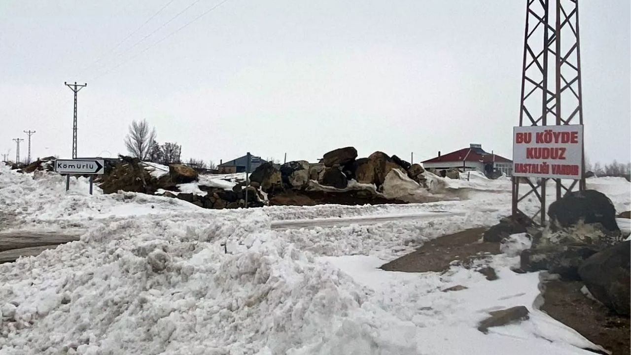 Bitlis'te kuduz alarmı! O köy karantinaya alındı
