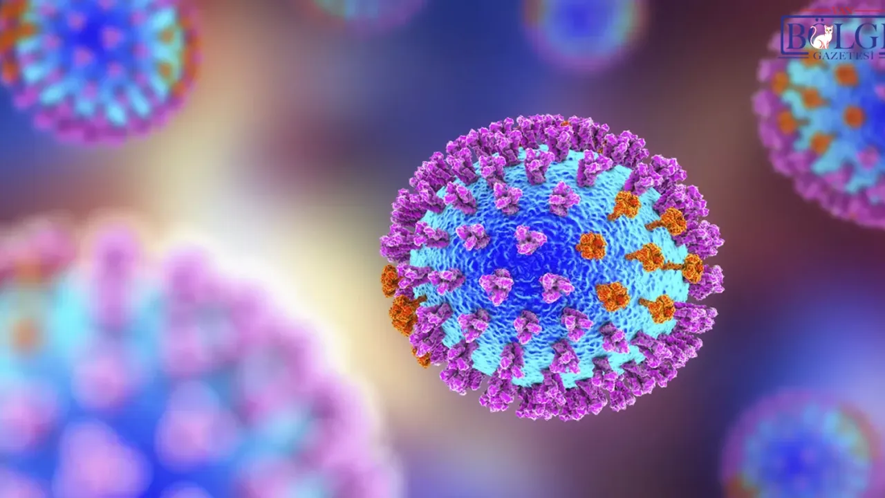 Van'da Grip Salgını Kapıda, Hastaneler Dolu