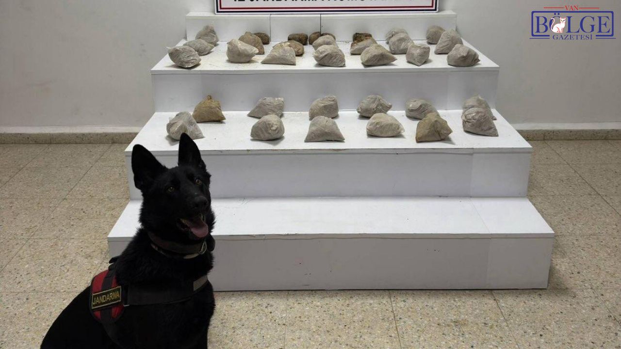 Başkale'de Narkotik Ekiplerinden Başarılı Operasyon