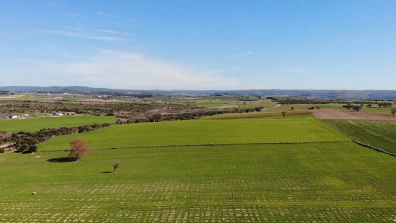 Van'da Dev Enerji Arazisi Mahkeme Tarafından Satışa Sunuldu!