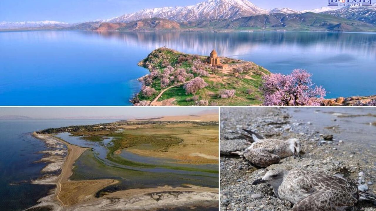 "Van Gölü'nde Çekilmenin Nedeni Kuraklık Değil, Yanlış Su Politikaları"