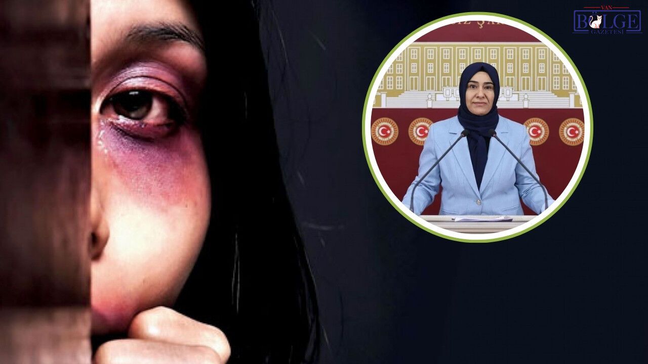 Van'da Kadın Cinayetlerinin Korkutucu Artışı: Nedenler Neler?