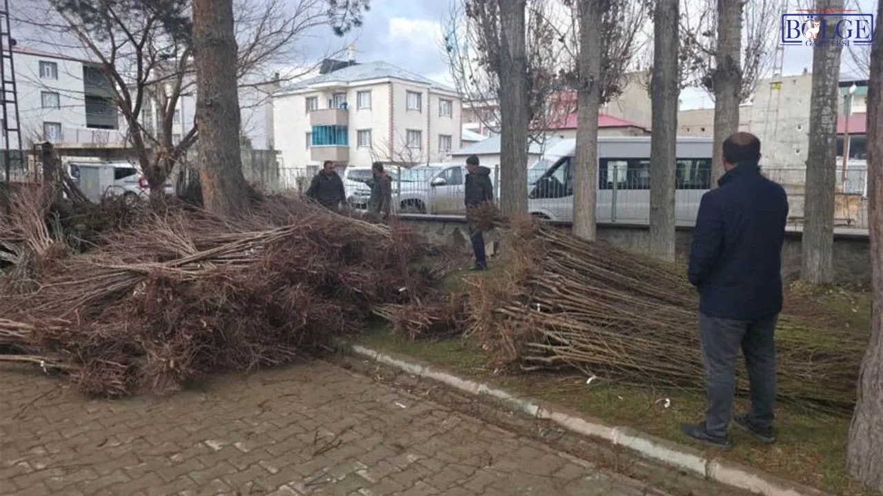 Van'da Çiftçiye Müjde: Hibe Desteğiyle 50 Bin Fidan Toprakla Buluşuyor