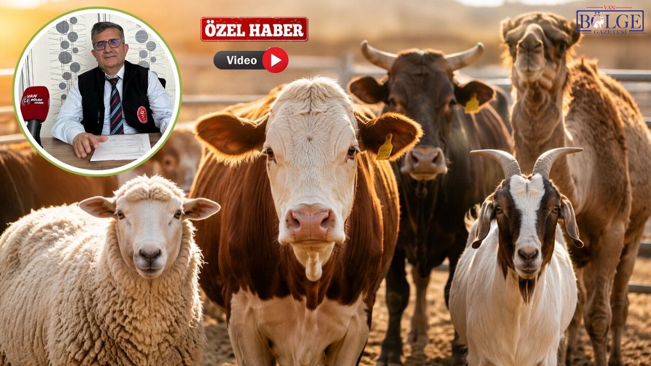 Van’da Kurbanlık Seçiminde Yapılan Hataları Uzmanı Açıkladı
