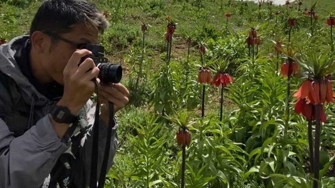 Japonya’dan Doğu’ya Yolculuk