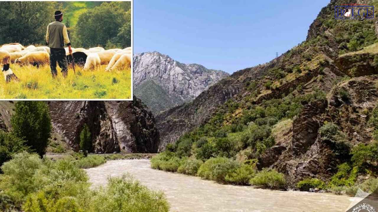Van-Hakkâri Karayolunda Çoban Zap Suyuna Düştü