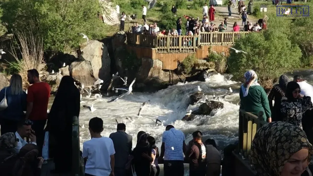 İnci kefali göçüne yoğun ilgi: Yerli ve yabancı turistler ak