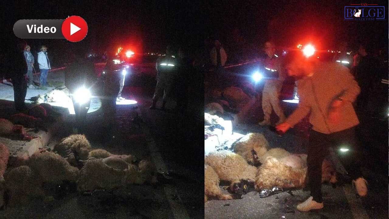 Van’da Gece Yarısı Otomobil Sürüye Daldı, Çok Sayıda Koyun T