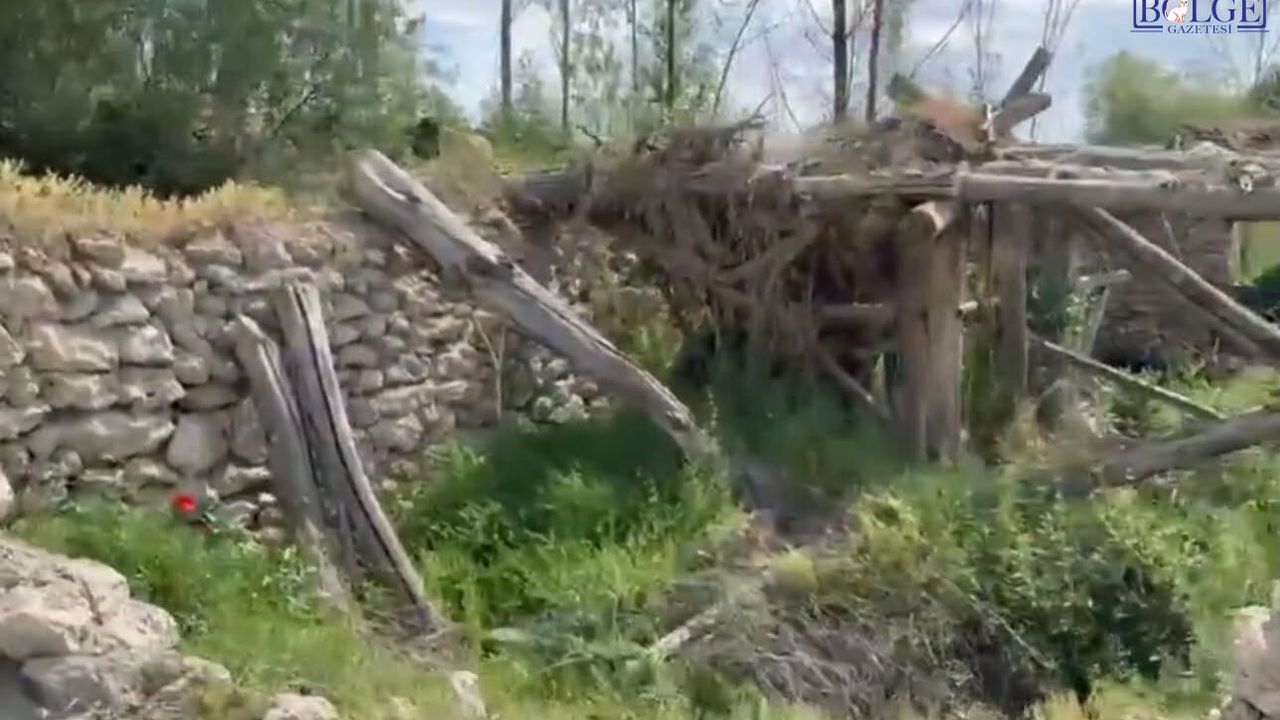 Van’ın kültürel mirası yok olmakla karşı karşıya