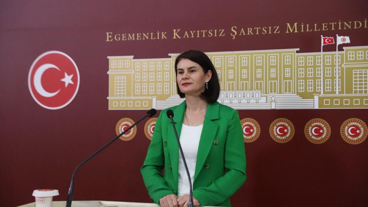 DEM Parti Van Milletvekili Sayyiğit: Van'ın Sorunl