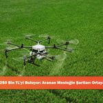 Maaşı 250 Bin TL’yi Buluyor: Aranan Mesleğin Şartları Ortaya Çıktı!