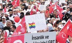 Van'da aileyi korumaya yönelik yürüyüş düzenlenecek