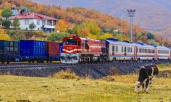 Van Gölü Ekspresi, yolculuğu ile Doğu Ekspresi'ni aratmıyor