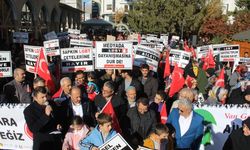 Van’da, ‘Ailen saldırı altında, harekete geç’ yürüyüşü gerçekleştirildi