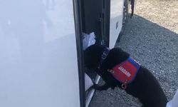 Van’dan Kars’a giden otobüste uyuşturucu ele geçirildi