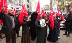 Vanlı ailelerin evlat nöbeti sürüyor
