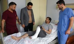 Kopan ayak Van’da doktorların müdahalesiyle başarıyla kurtarıldı