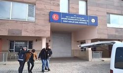 Van'da 3 organizatör tutuklandı