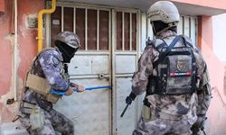 Van'da terör operasyonlarında 10 şüpheli yakalandı