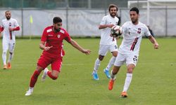 Nuri Terliksiz yeniden Vanspor'da