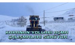 Van'da kardan dolayı kapanan yolları açma çalışmaları sürüyor