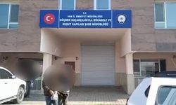 Van'da 5 organizatör tutuklandı