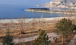 Van Gölü’nde su seviyesi düşmeye devam ediyor