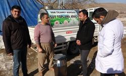 Vanlı besiciler emeklerinin karşılığını almaya başladı